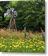 Windmill And Flowers Metal Print