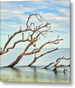 Windswept Branches On Sandy Hook Bay Metal Print
