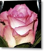 Wine And A Rose Metal Print