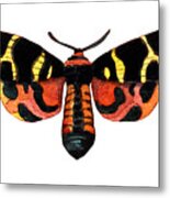 Winged Jewels 5, Watercolor Moth Black Yellow Orange And Red Tropical Metal Print