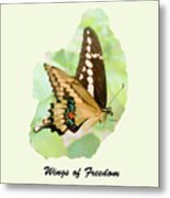 Wings Of Freedom By Claudia Ellis Metal Print