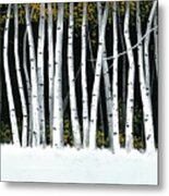 Winter Aspens Ii Metal Print