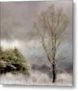 Winter Beginning Metal Print