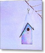 Winter Birdhouse Metal Print