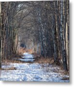 Winter Bliss Metal Print