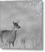 Winter Deer Metal Print