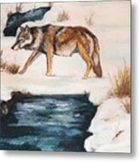Winter Coyote Metal Print