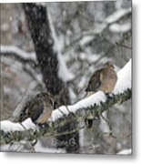 Winter Doves Metal Print