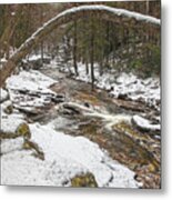 Winter Forest Hydra Metal Print