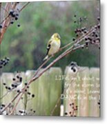 Winter Goldfinch In The Rain With Quotation Metal Print