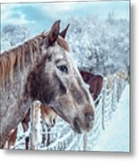 Winter Horses Metal Print