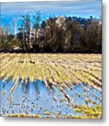 Winter In Washington Fields Metal Print