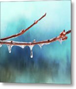 Winter Magic - Gleaming Ice On Viburnum Branches Metal Print