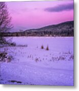 Winter Meadows Ii Metal Print