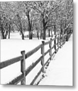 Winter Metal Print