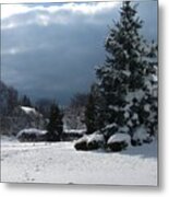 Winter Metal Print