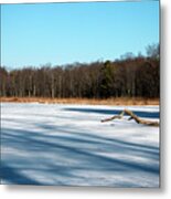 Winter Shadows Metal Print