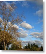 Winter Sky Metal Print