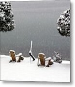 Winter Solitude Metal Print