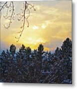 Winter Sunset On The Tree Farm #1 Metal Print