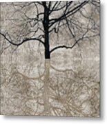 Winter Tree Metal Print