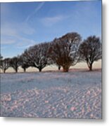 Winter Trees On The Ring Metal Print