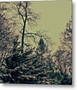 Winter Trees Metal Print