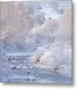 Winter Wonderland - Colorado Metal Print