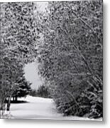 Winter Wonderland Metal Print