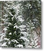 Winter Woodland Metal Print