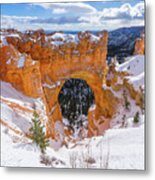 Winter's Gate Metal Print