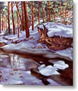 Winter's Warmth Metal Print