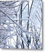 Wintertide Metal Print