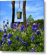 Wishing Well Metal Print