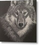 Wolf Metal Print