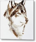 Wolf Head Brush Drawing Metal Print