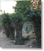 Woman In Pink, Govardhan Hill Metal Print