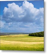 Wood Copse On A Hill Metal Print