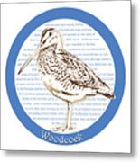 Woodcock Metal Print