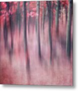 Woodland Sanctuary Metal Print