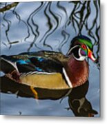 Woody Metal Print