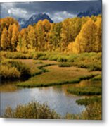 Wyoming Wonder Metal Print