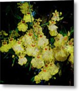 Yellow/blk Orchid Flowers Metal Print