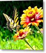 Yellow Butterfly On Flower Metal Print