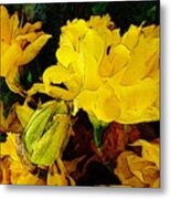 Yellow Daffodils 6 Metal Print