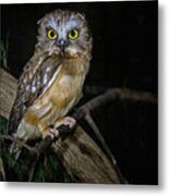 Yellow Eyes In The Dark Metal Print