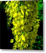 Yellow Falls Metal Print