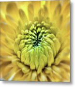 Yellow Flower 3 Metal Print