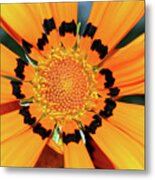 Yellow Gazania By Kaye Menner Metal Print