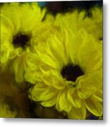 Yellow Mums Metal Print